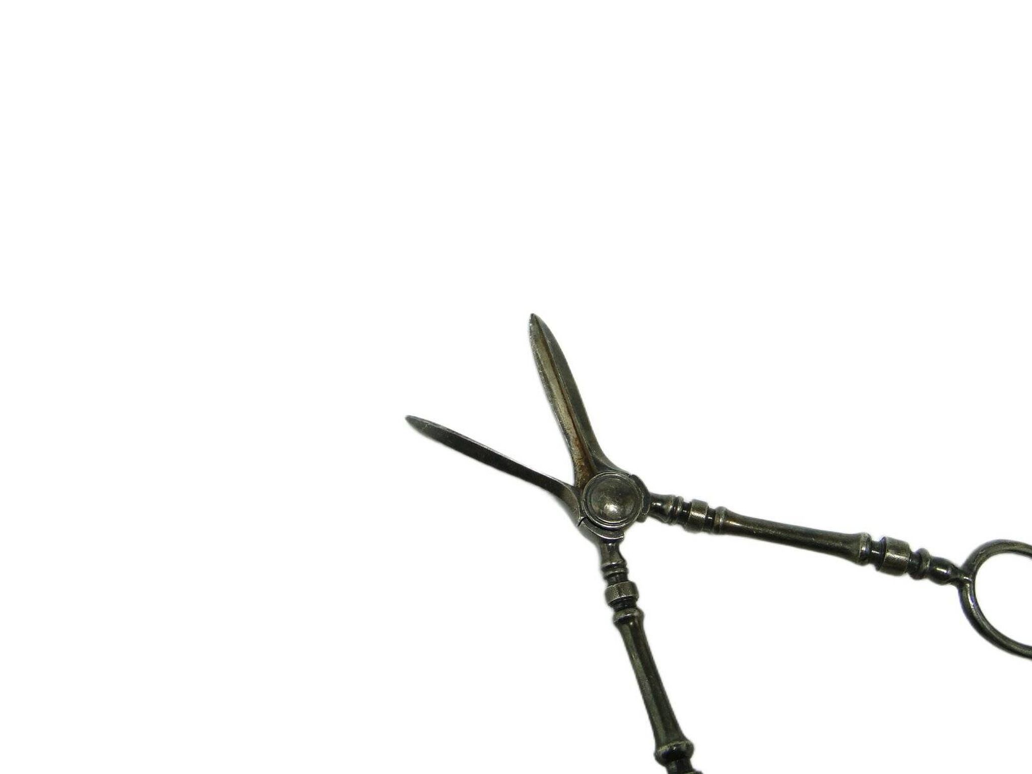 Art Nouveau Danish scissors for grapes, 1920s