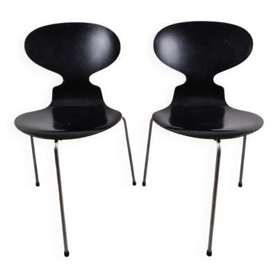 Paire de chaises en hêtre noir satiné modèle 3100 ''Ant'' par Arne Jacobsen pour Fritz Hansen, Danemark, 1957.