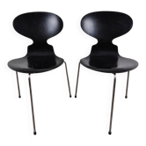 Pair of satin black beech chairs model 3100 "Ant" by Arne Jacobsen for Fritz Hansen, Denmark, 1957.