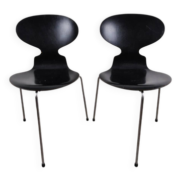Paire de chaises en hêtre noir satiné modèle 3100 "Ant" par Arne Jacobsen pour Fritz Hansen, Danemark, 1957.