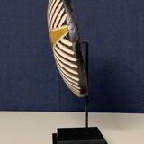 Zulu shield