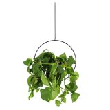 Produit test livraison urbantz