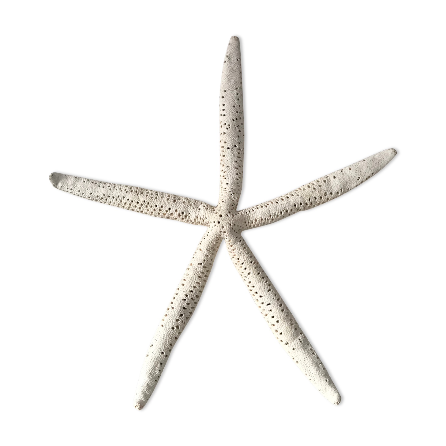 Starfish