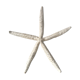 Étoile de mer