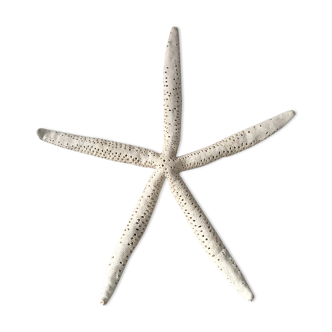 Étoile de mer