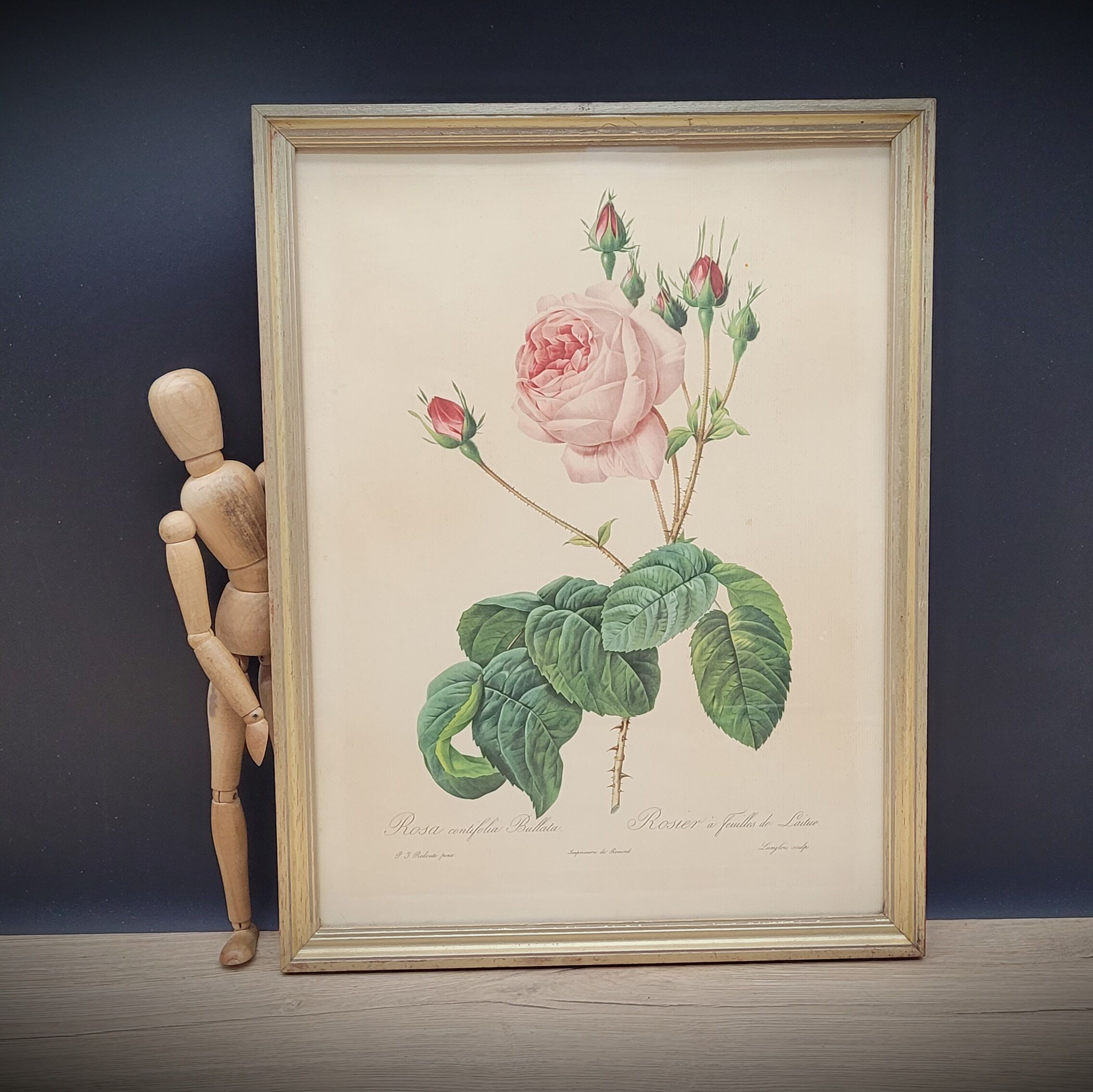 Lithograph Rose Leaves Lettuce