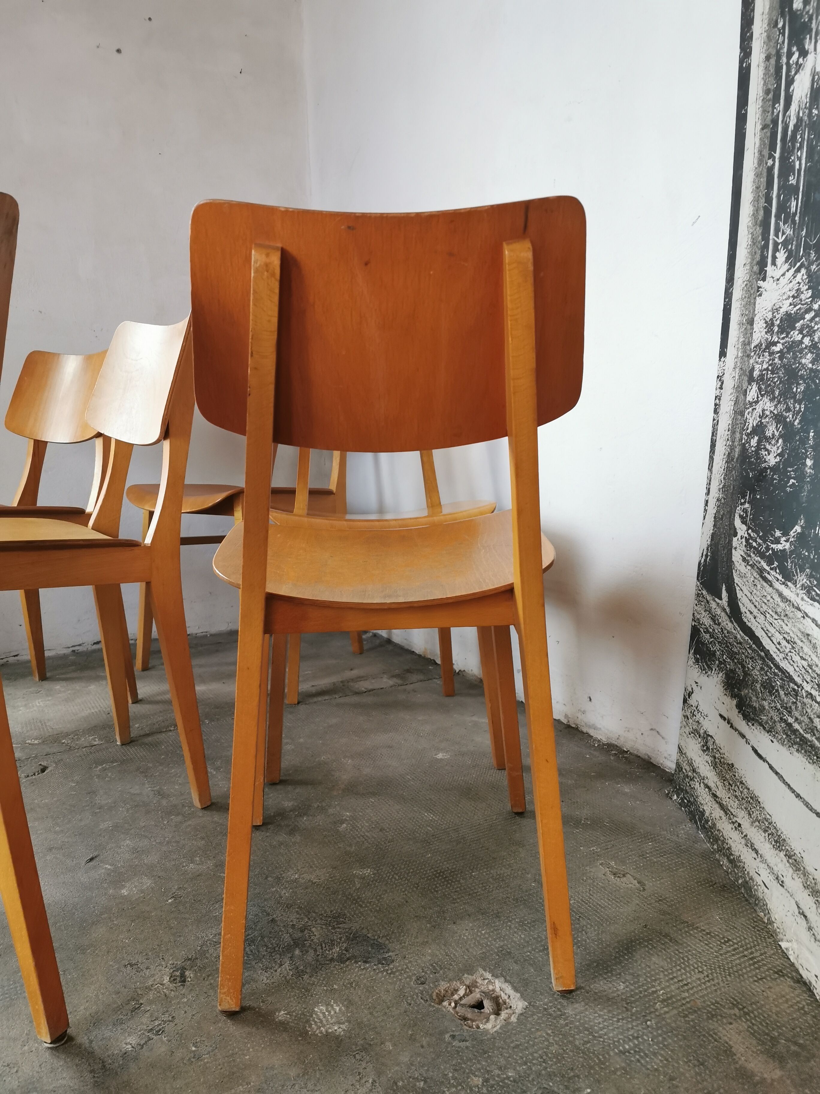 Set of 6 chairs from the 60s