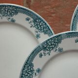 Flat plates in Iron Earth