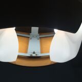 Pair of Lucid lamps