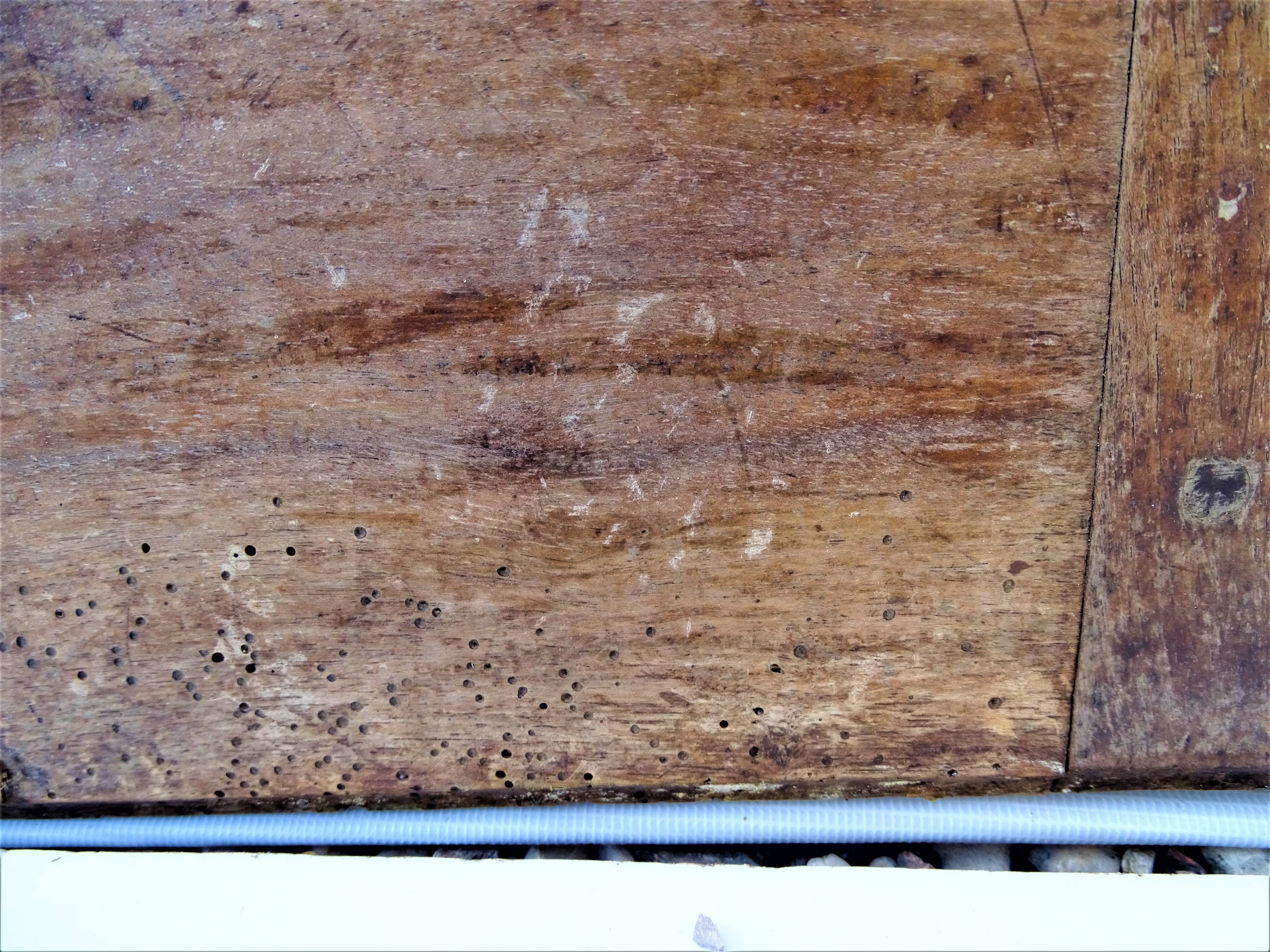 Antique wardrobe doors