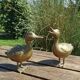 Paire de canards en laiton
