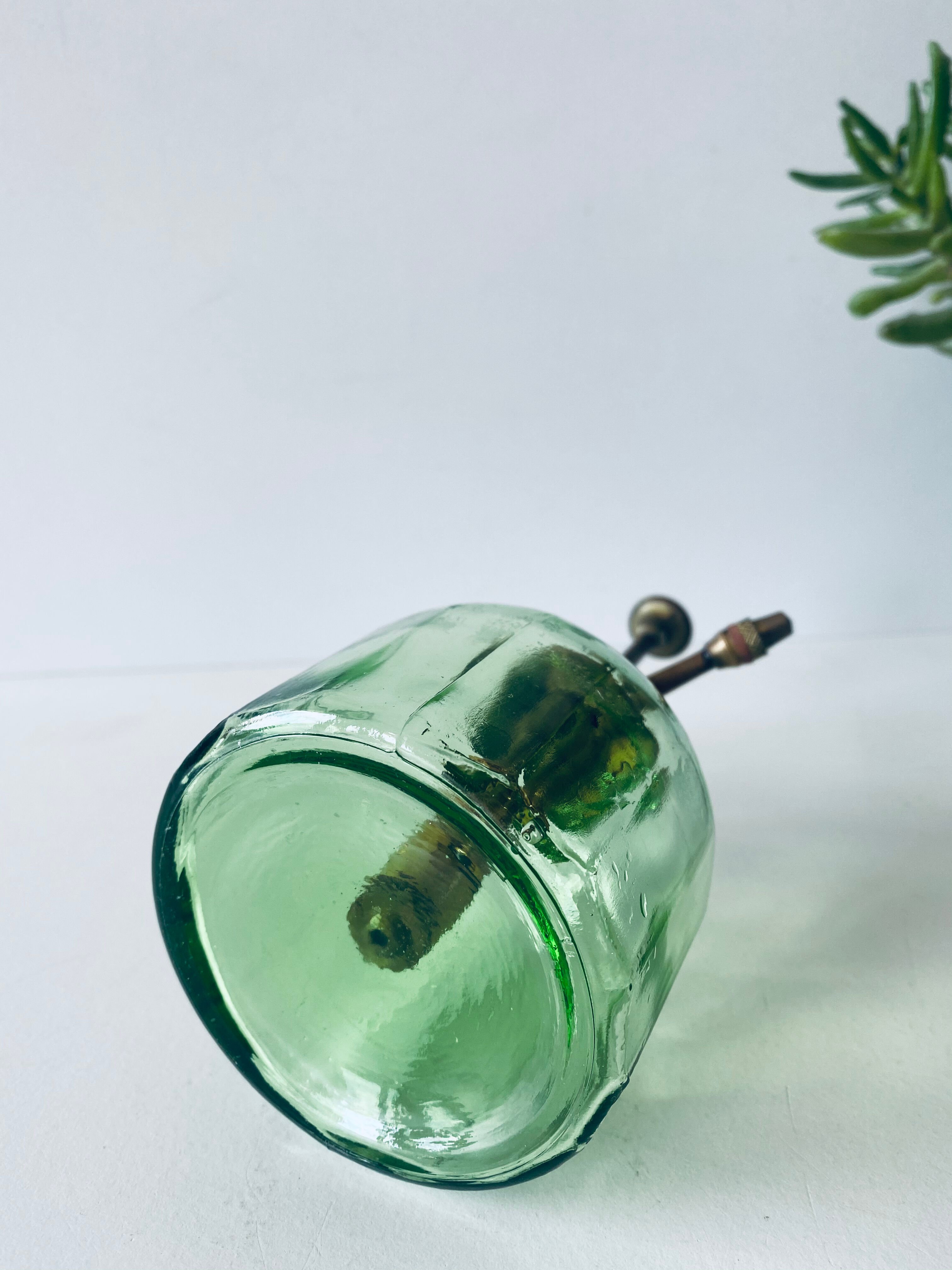 Vintage mist for indoor plants