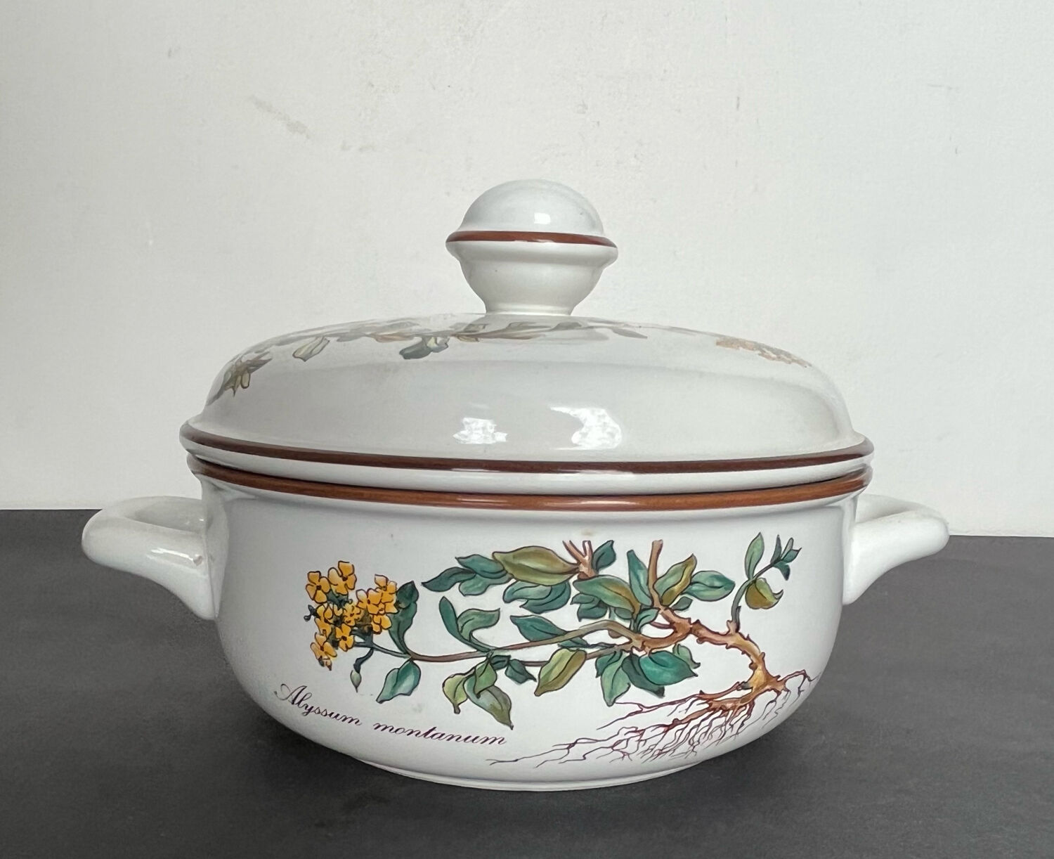 Villeroy and Boch Bitanica tureen