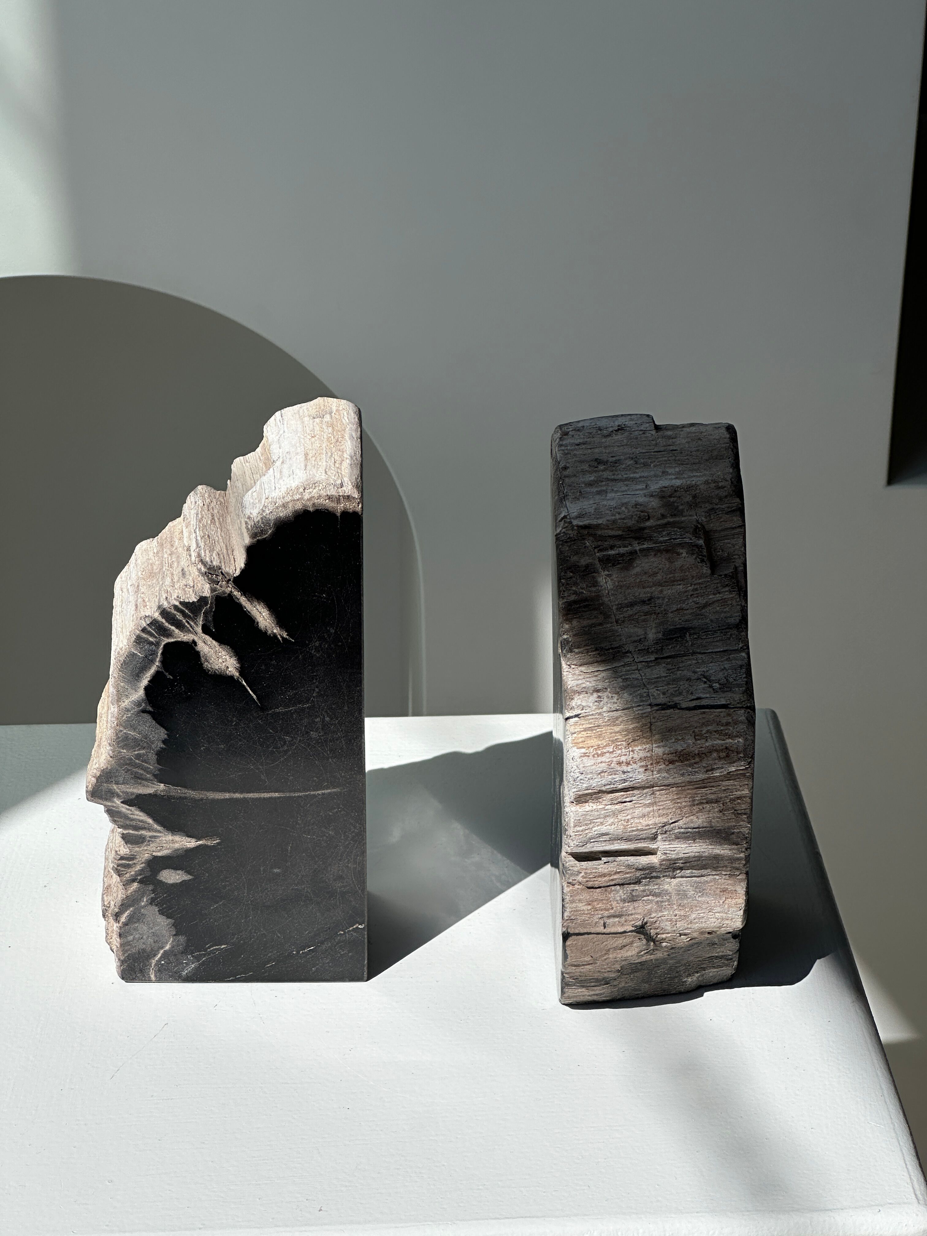 Black petrified wood bookend H17 L17 P6