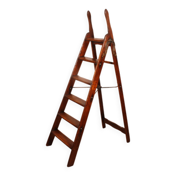 19th-century library ladder