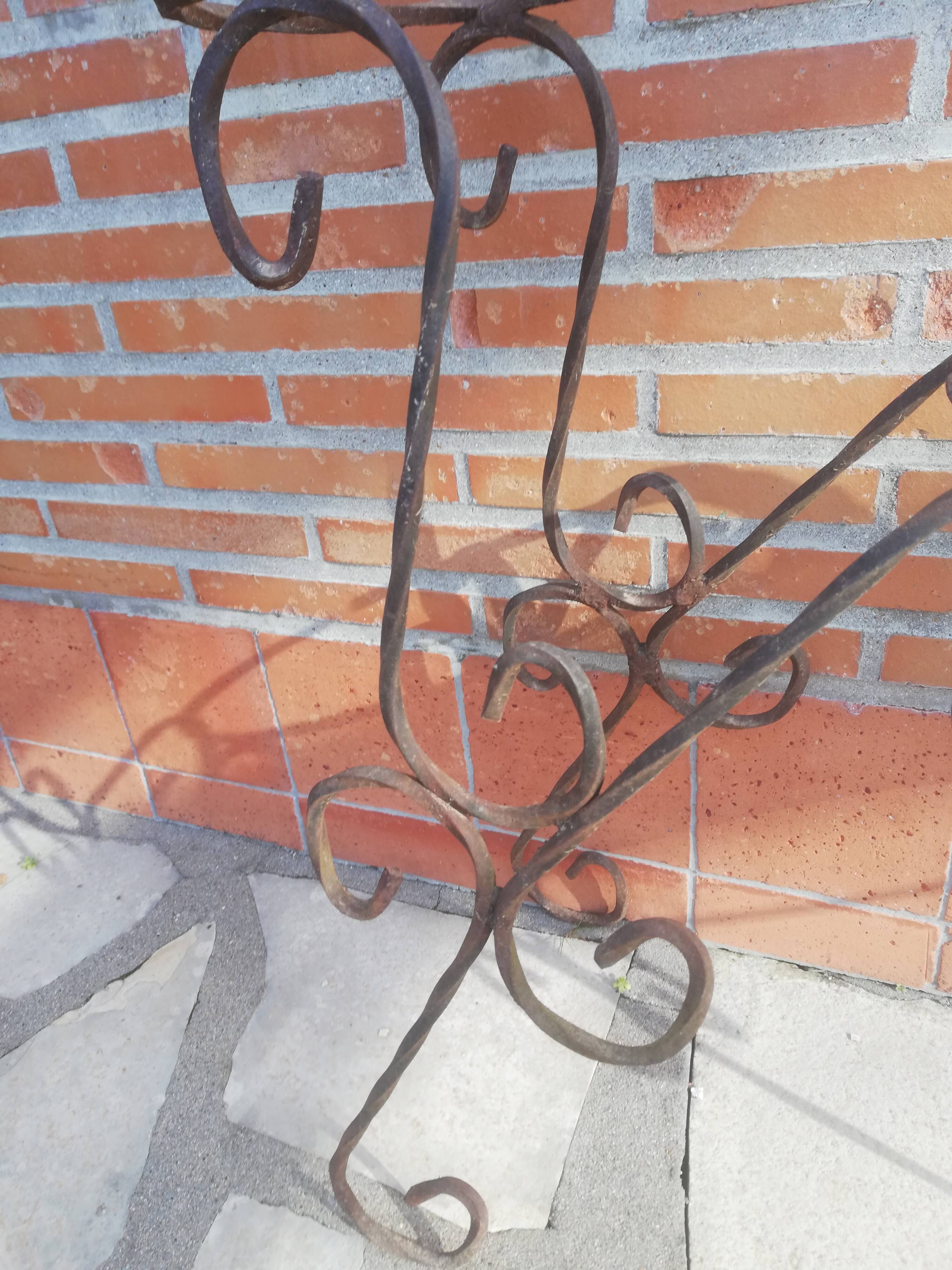 Wrought iron plant holders