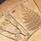 Vallauris wooden and ceramic coffee table