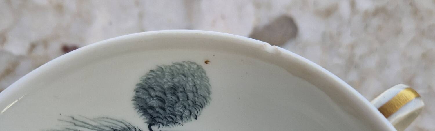 Coffee service for 9 people, Limoges porcelain, signed D'Arnac