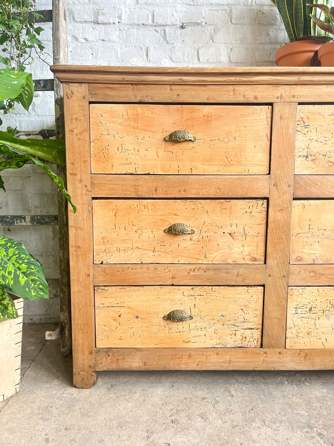 Old haberdashery furniture