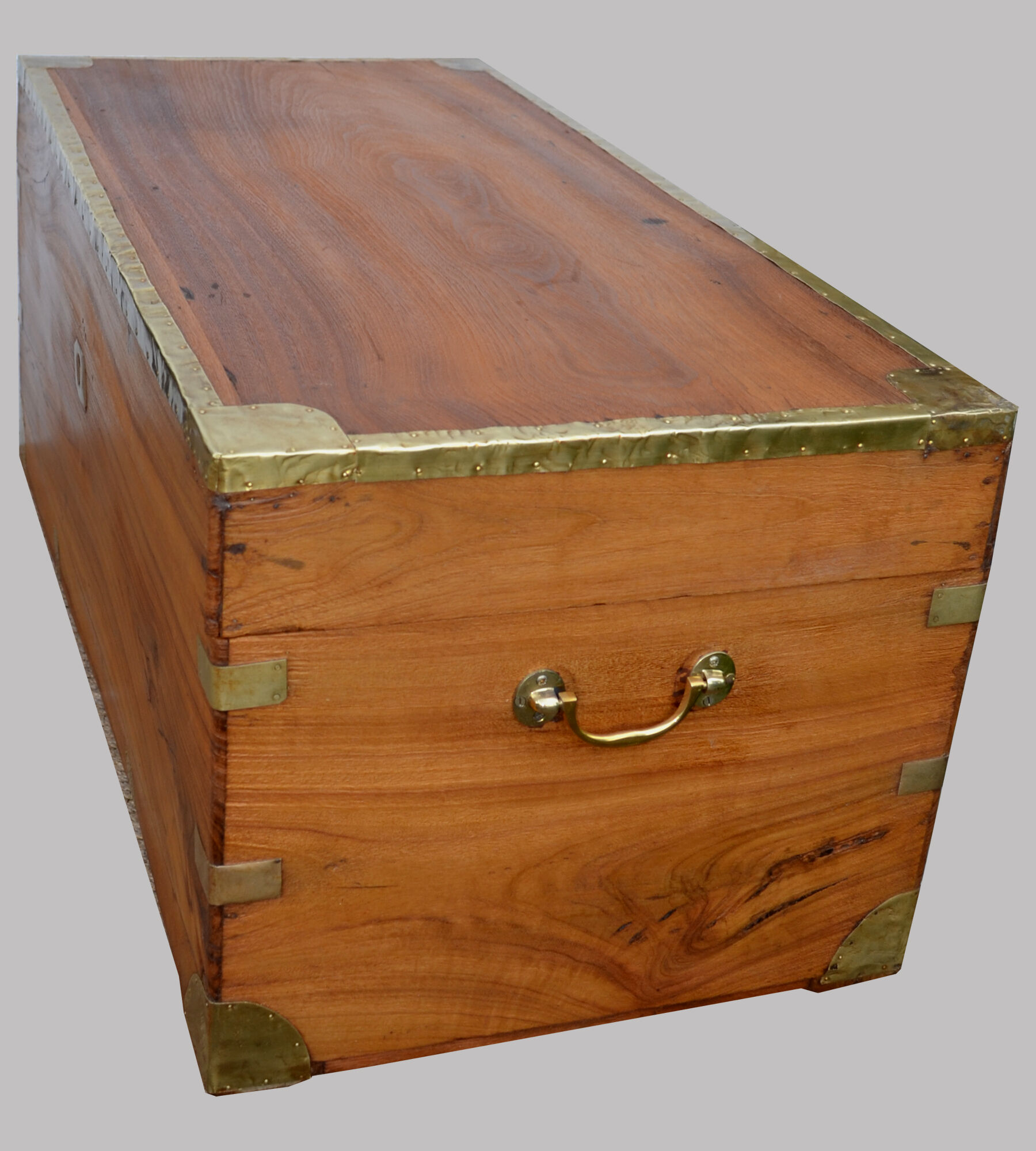 Chest in camphor tree