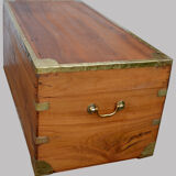 Chest in camphor tree