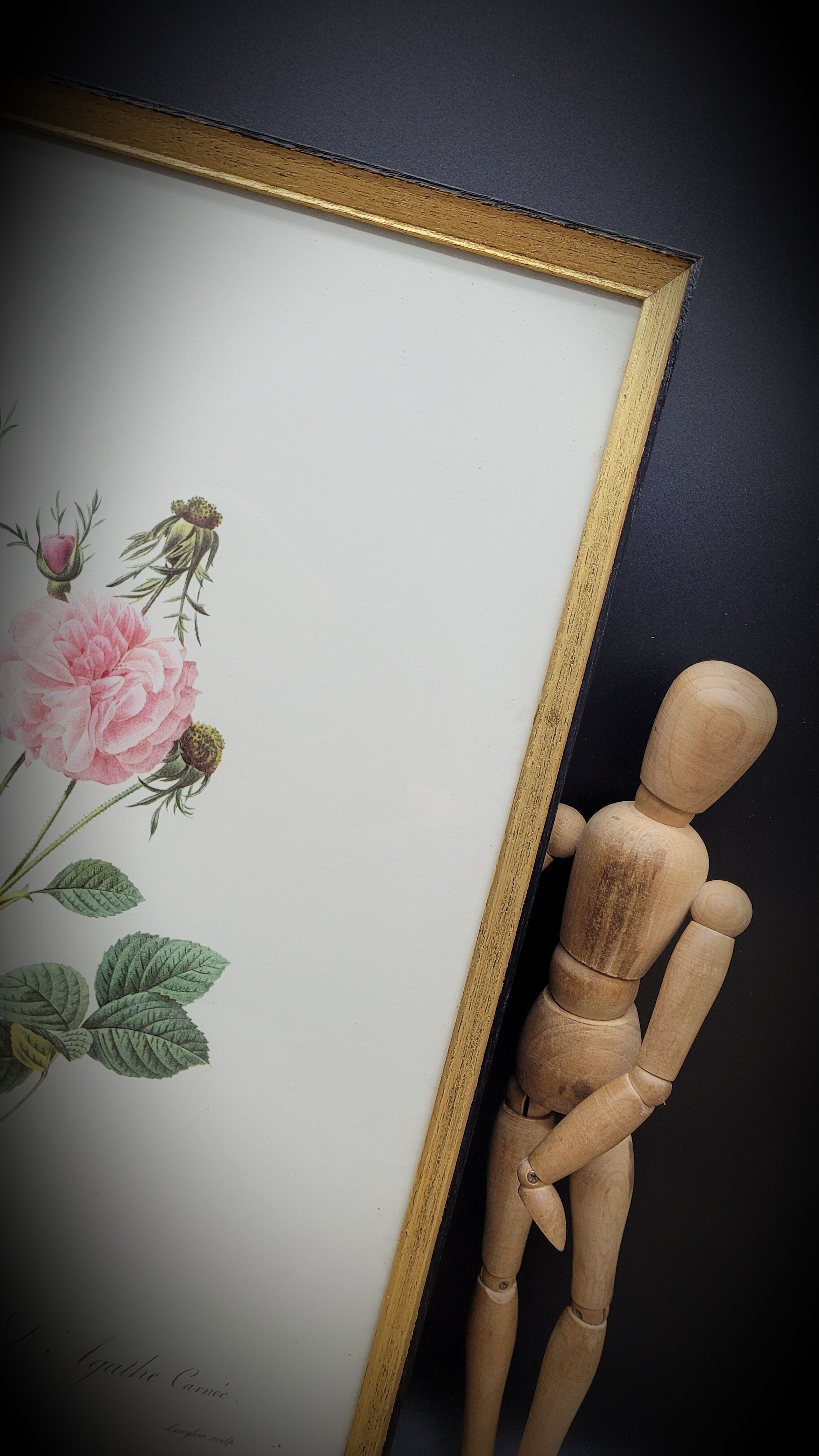 Lithograph under frame rose agathe meat