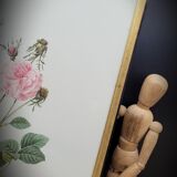 Lithograph under frame rose agathe meat