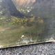 Antique painting 19th century – pastoral scene with shepherdess and sheep, signed P. Oudi