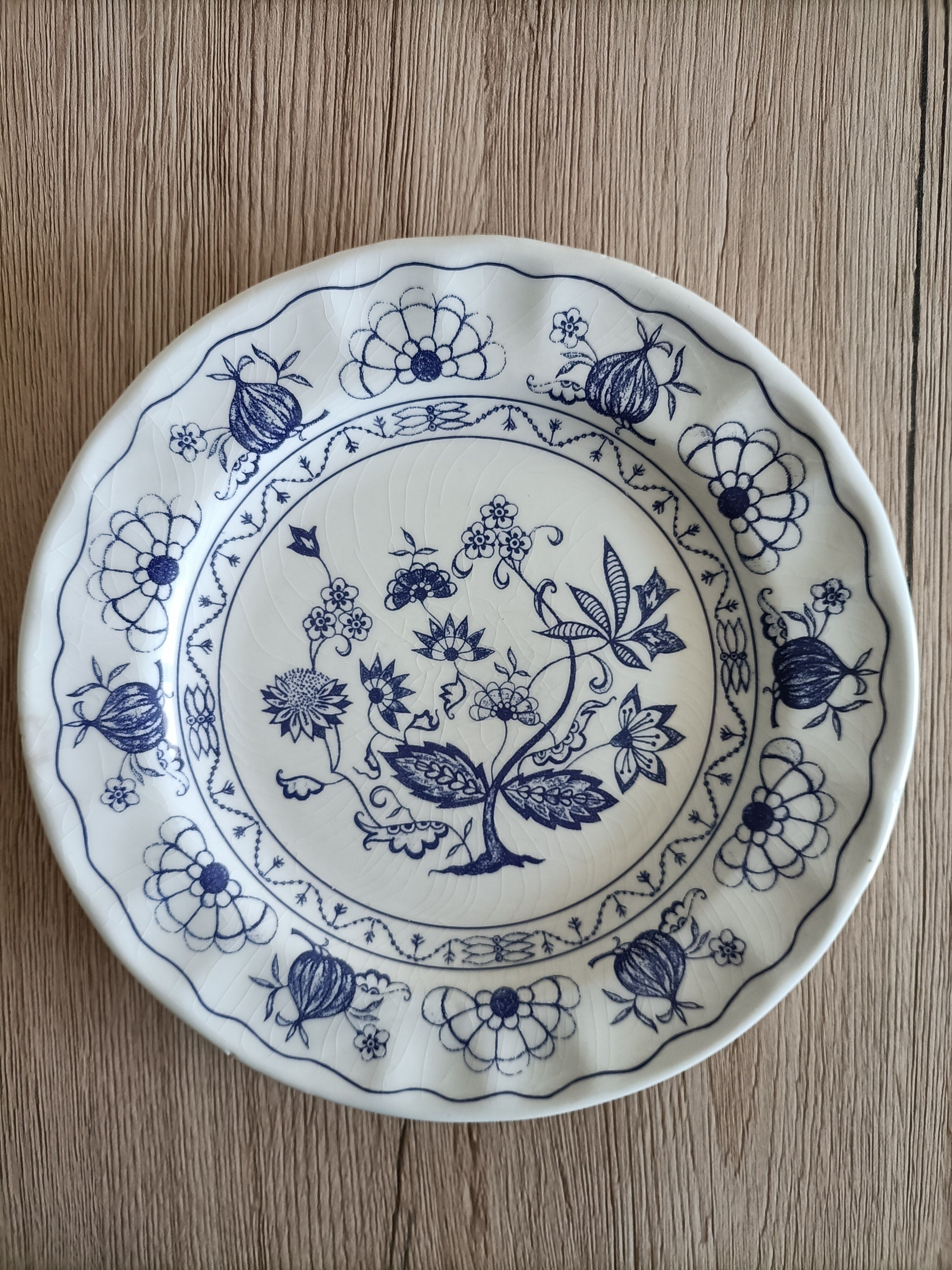 Blue porcelain onion plates