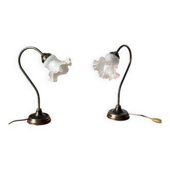 Delmas gooseneck lamps