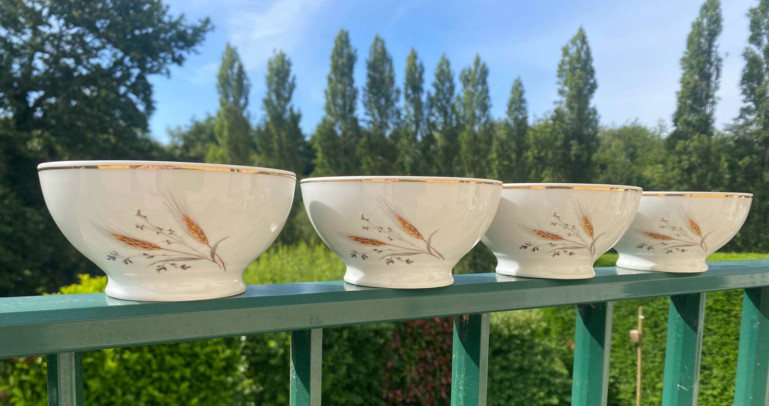 4 vintage deshouliiere porcelain bowls