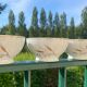 4 vintage deshouliiere porcelain bowls