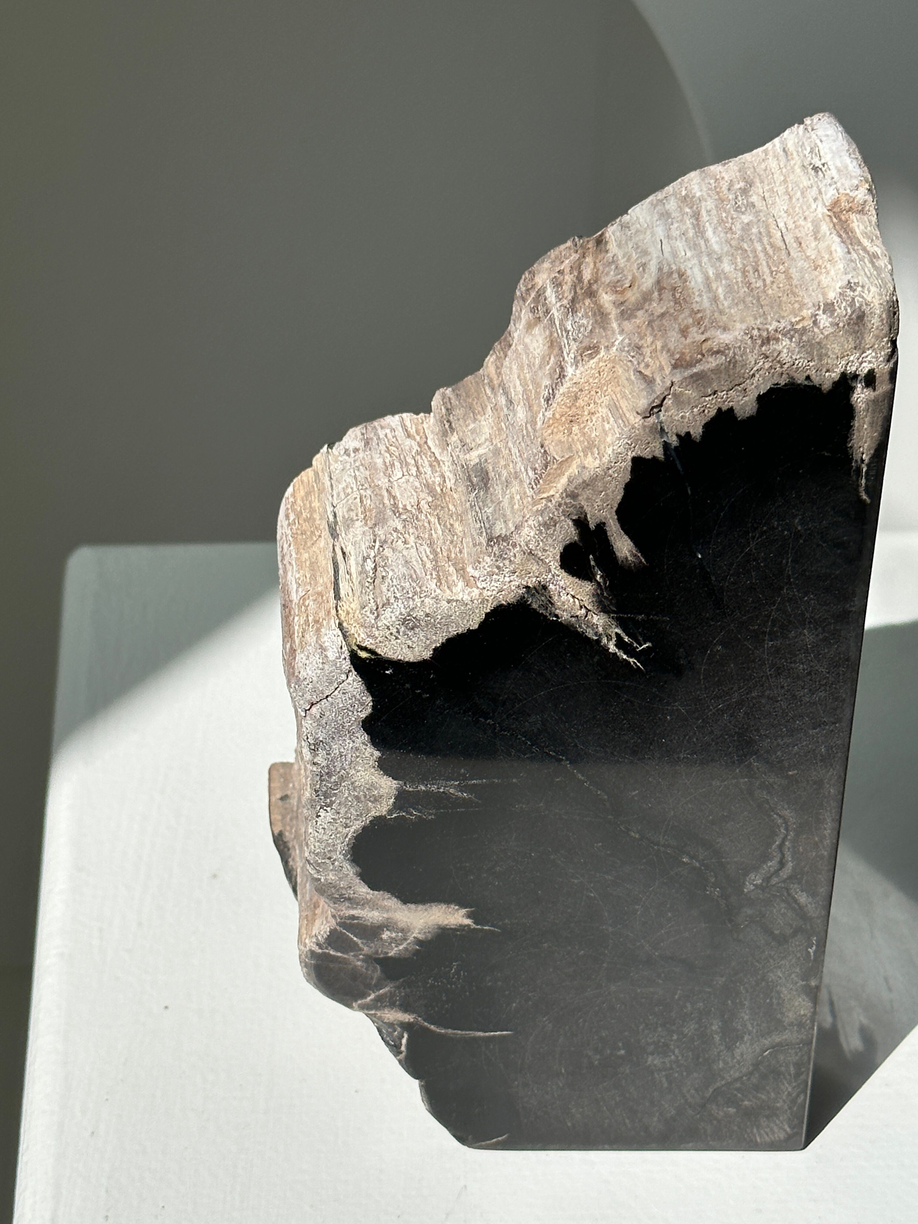 Black petrified wood bookend H17 L17 P6