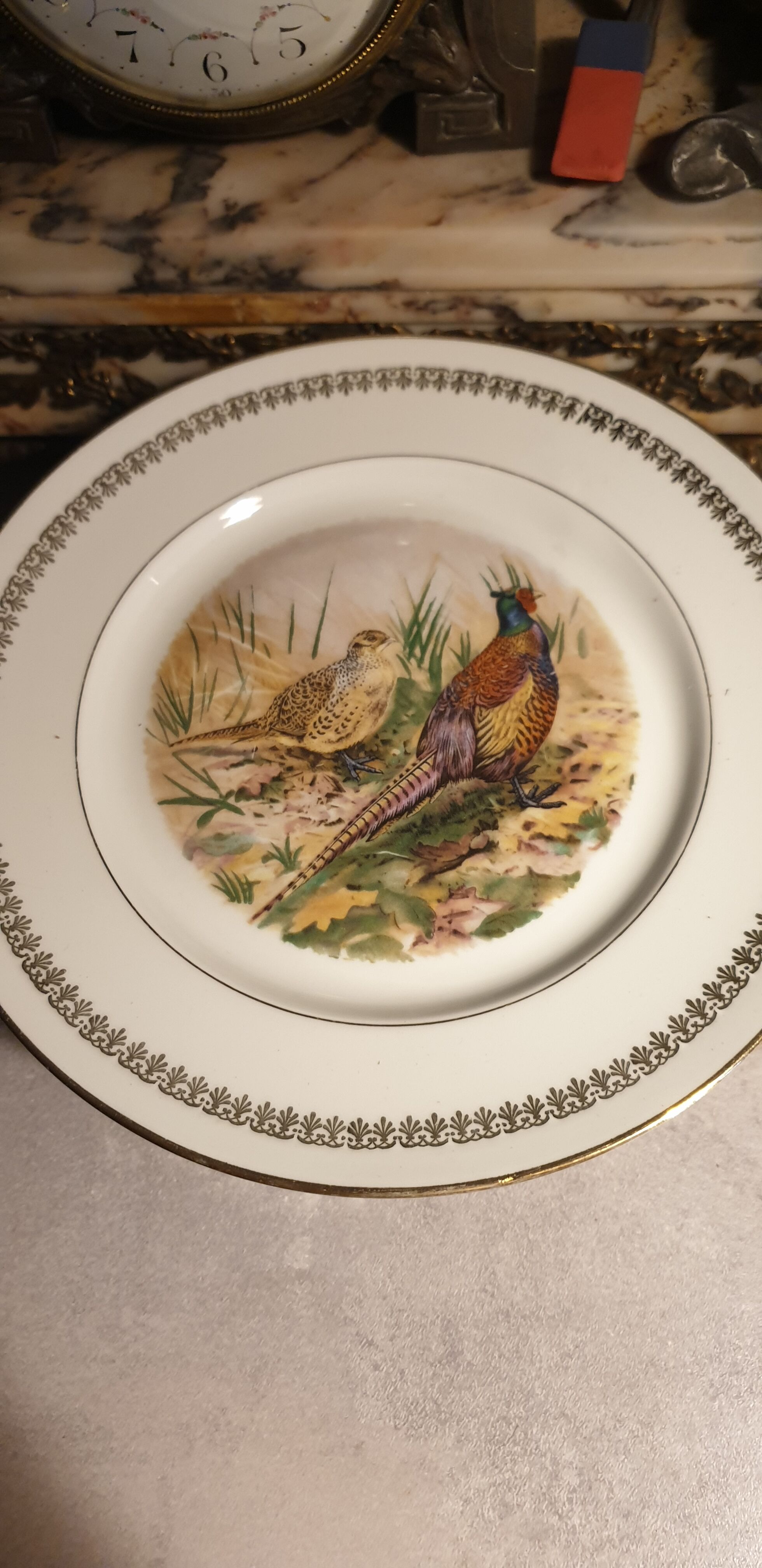 Game plates pl france