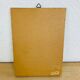 Vintage naturalized butterfly frame 19.5 x 14.5 cm
