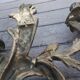 Pair of Louis XV style bronze sconces