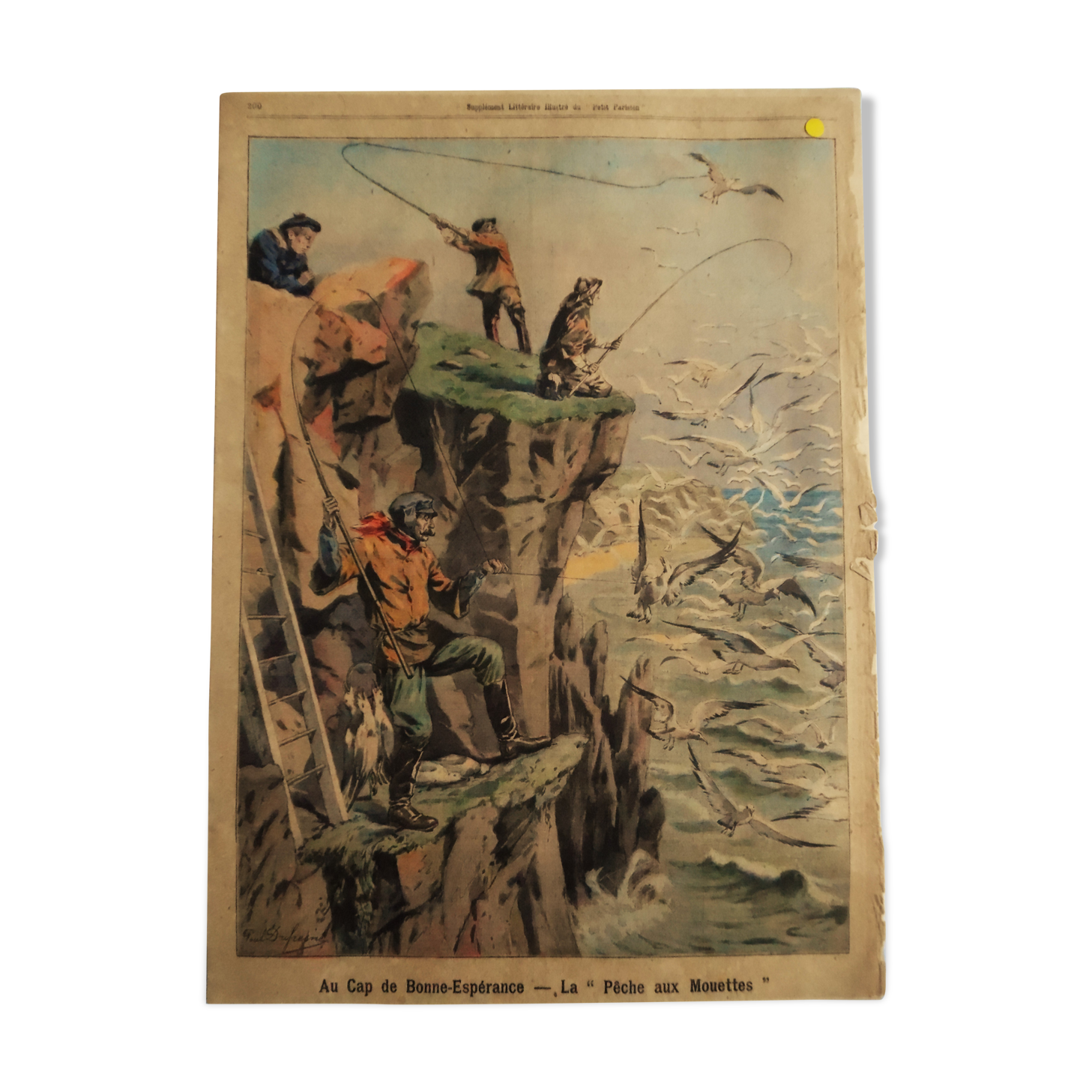Au Cap de Bonne-Espérance en 1904