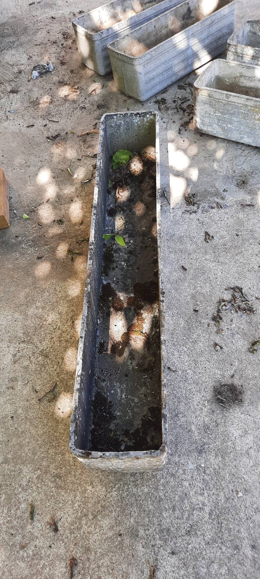 6 jardinières en fibrociment