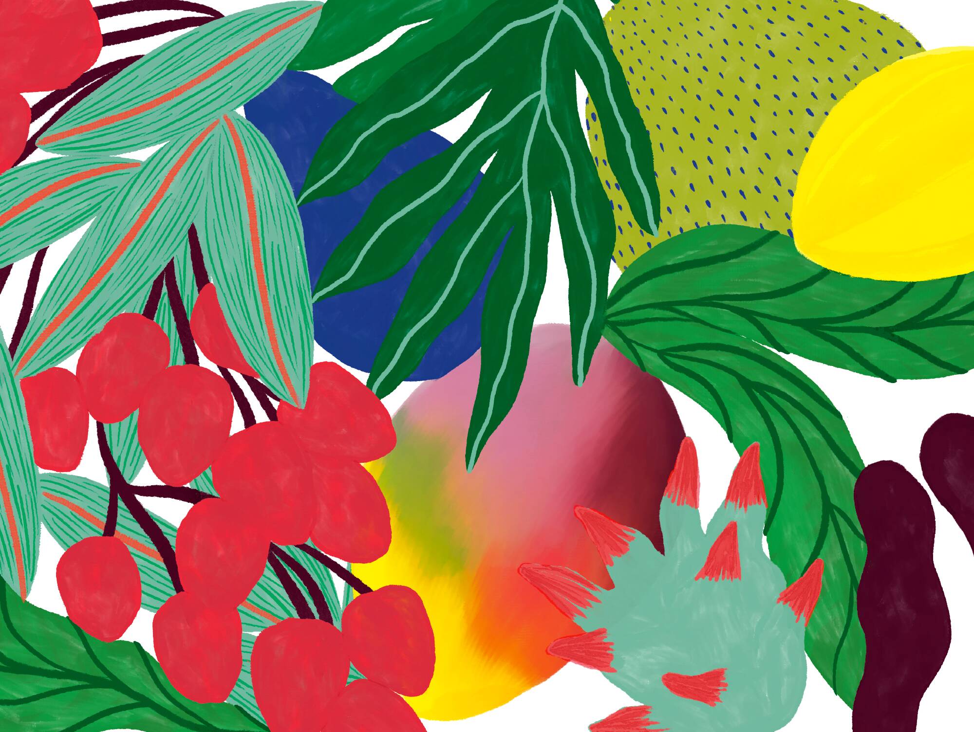 Tutti frutti - a4 illustration