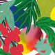 Tutti frutti - a4 illustration