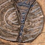 Very rare and large wall tile from Tue Poulsen 1970