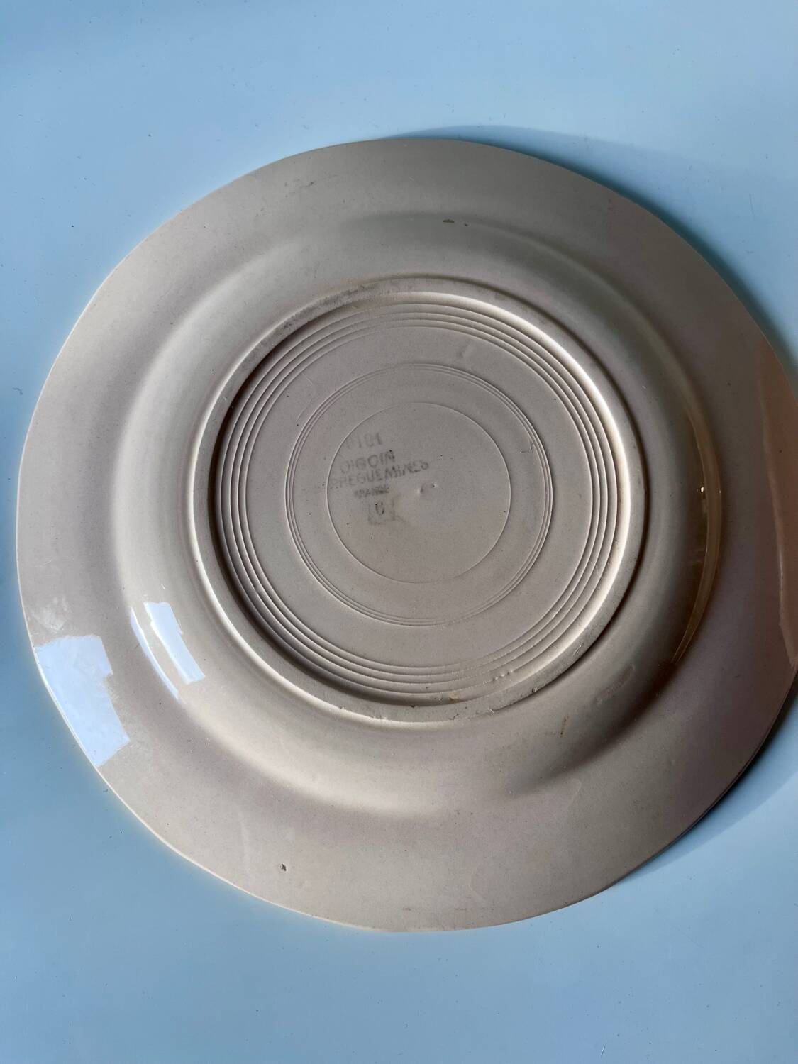 Set of 2 antique Sarreguemines earthenware plates with floral decoration