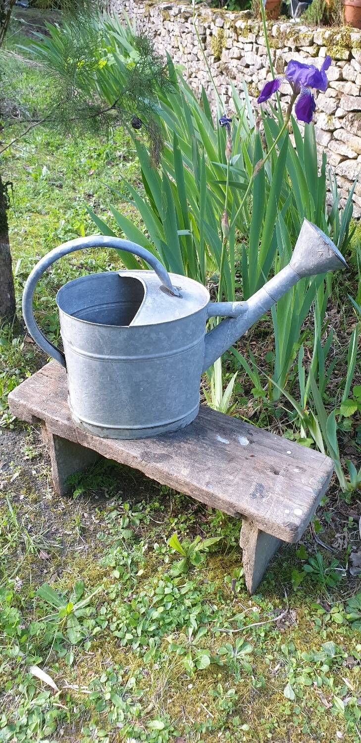 Vintage zing watering can