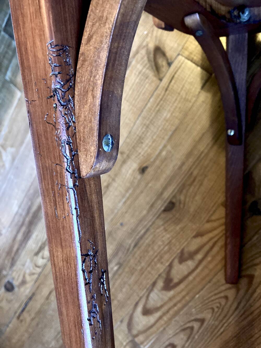 Vintage Stella chair pair – wood, 1950s