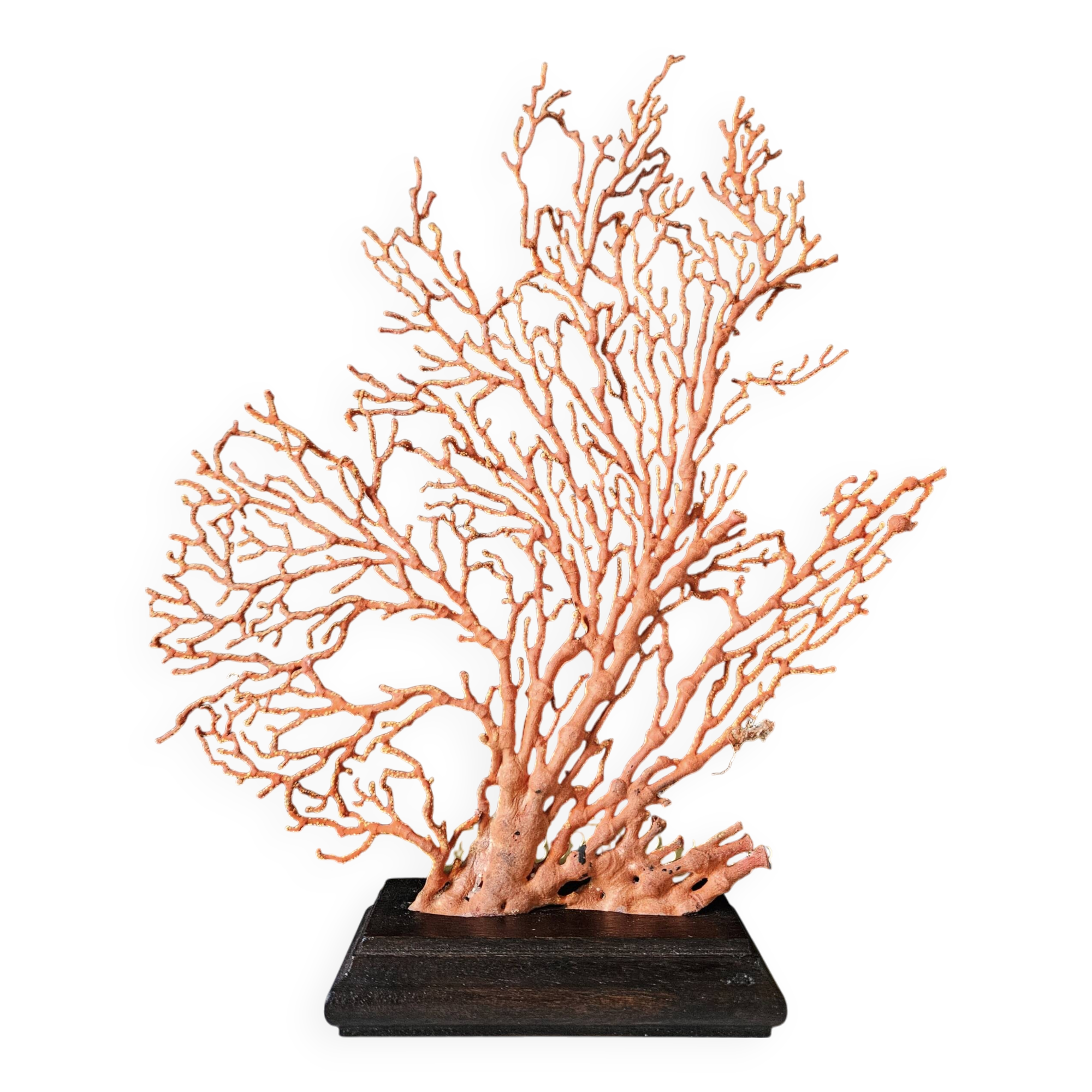 Large Red/Orange Gorgon Stained wooden base. H: 32 cm