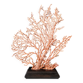 Grande Gorgone Rouge/Orange Socle en bois teinté. H : 32 cm