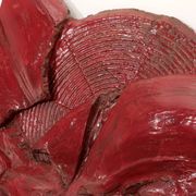 Susanne Wibroe - Fibreglass art work 1980