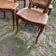 Lot de 6 chaises Louis Philippe cannées époque 19ème
