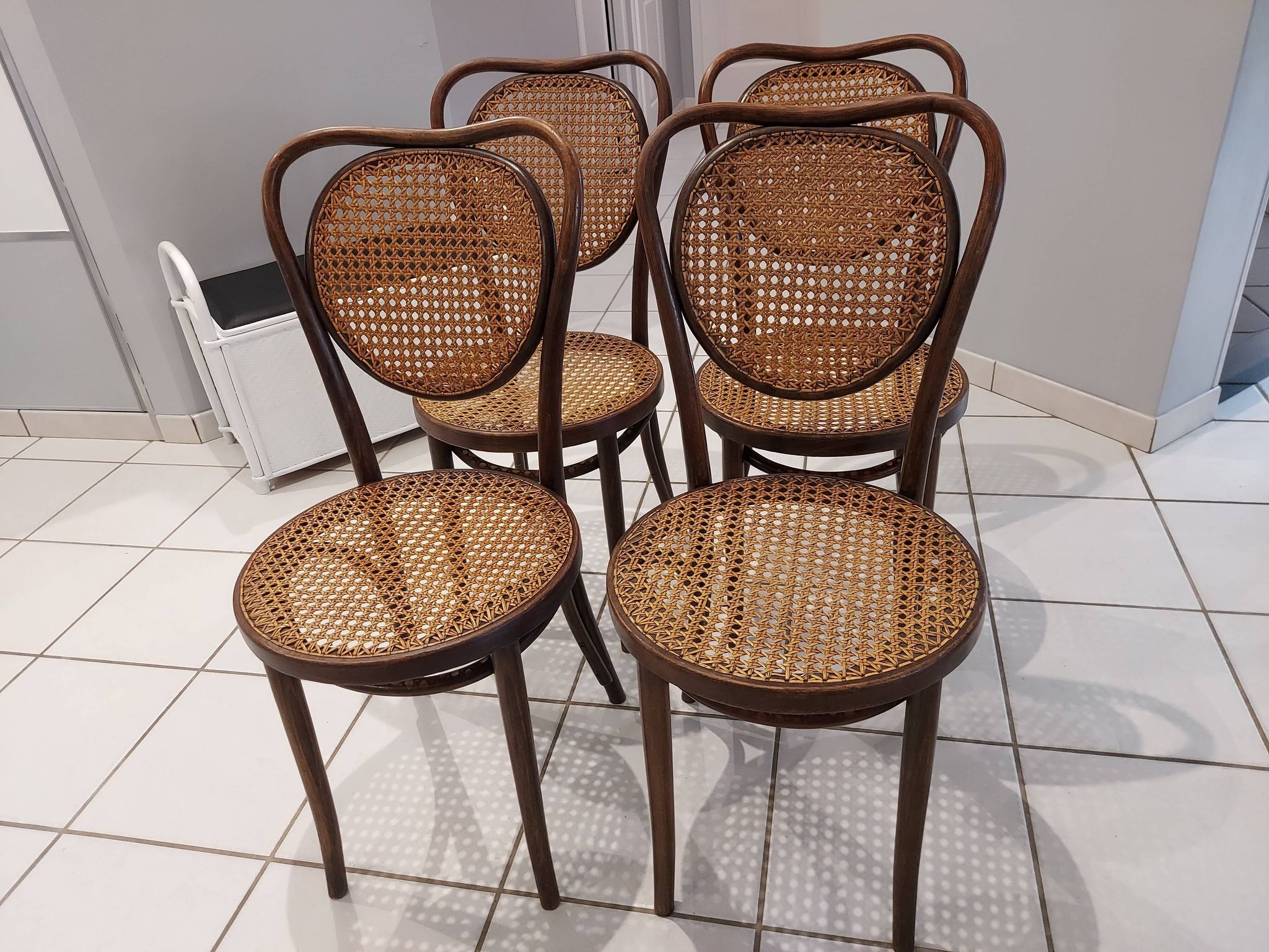 Suite of 4 chairs Bistrot cannage ZMP Radomsko for Thonet 1950s
