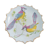 Bird Plate 🐦